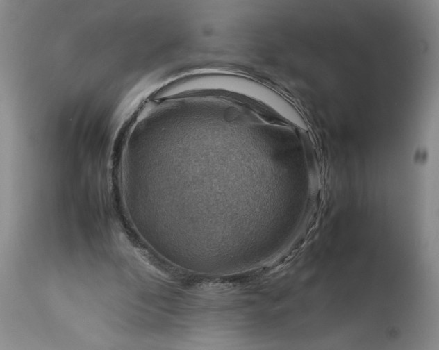 X0000113590296200910021724