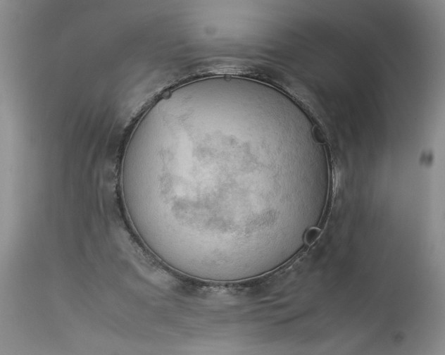 X0000113590297200910021724