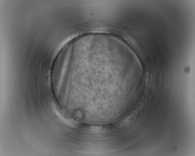 X0000113590298200910021724