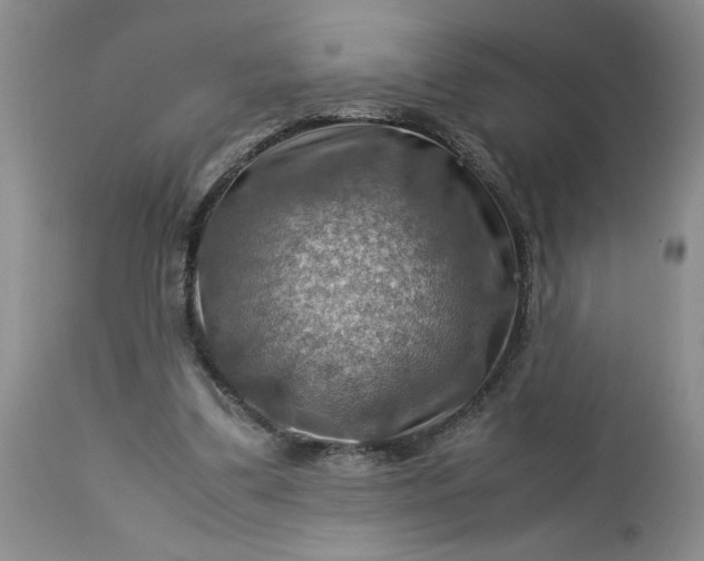 X0000113590299200910021724