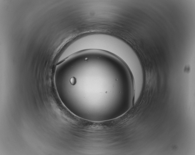 X0000113590300200910021723