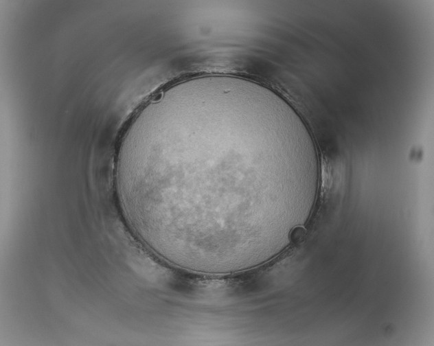 X0000113590301200910021723