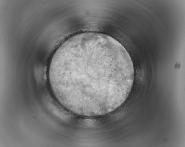 X0000113590302200910021723