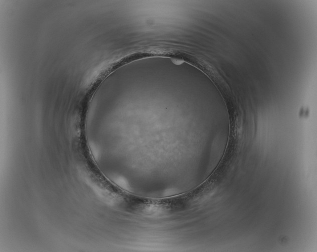 X0000113590303200910021723