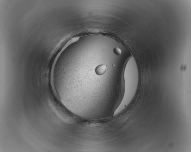 X0000113590304200910021723