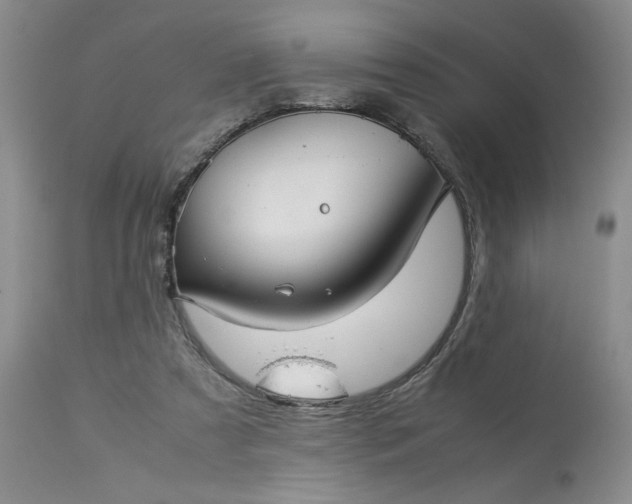 X0000113590305200910021723