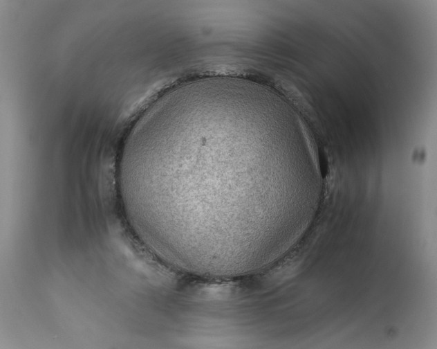 X0000113590306200910021723