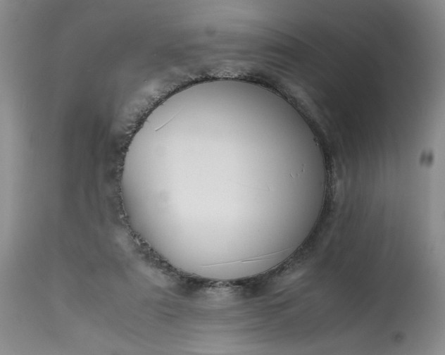 X0000113590307200910021723