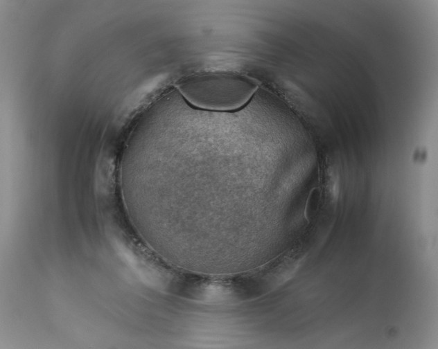 X0000113590308200910021723