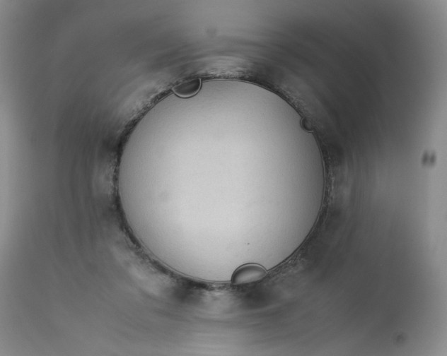 X0000113590309200910021723