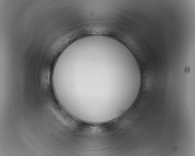 X0000113590310200910021723