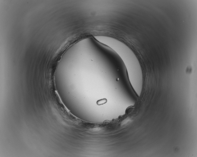 X0000113590312200910021723