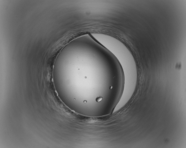 X0000113590313200910021723