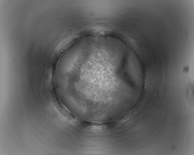 X0000113590314200910021723