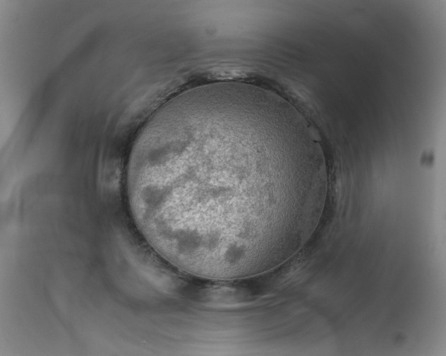 X0000113590315200910021723