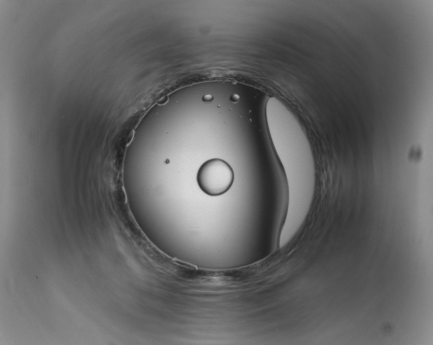 X0000113590316200910021723