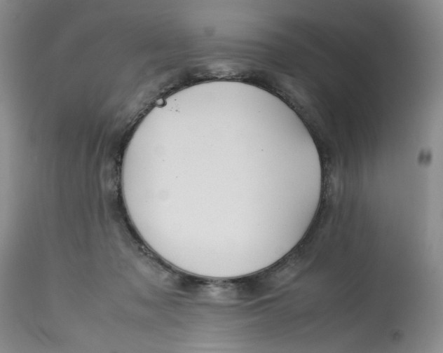 X0000113590317200910021723