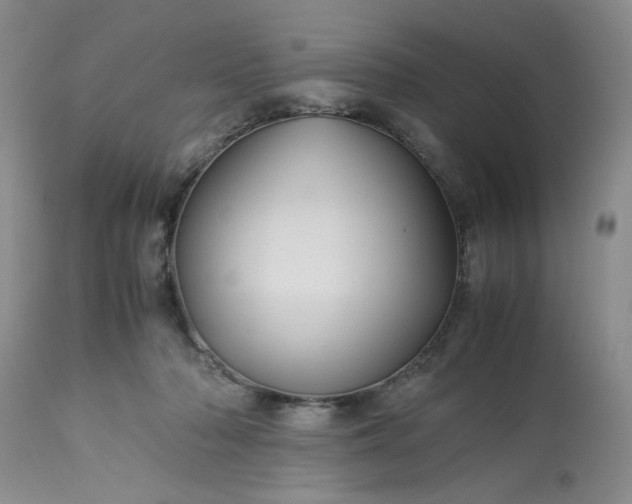 X0000113590318200910021723