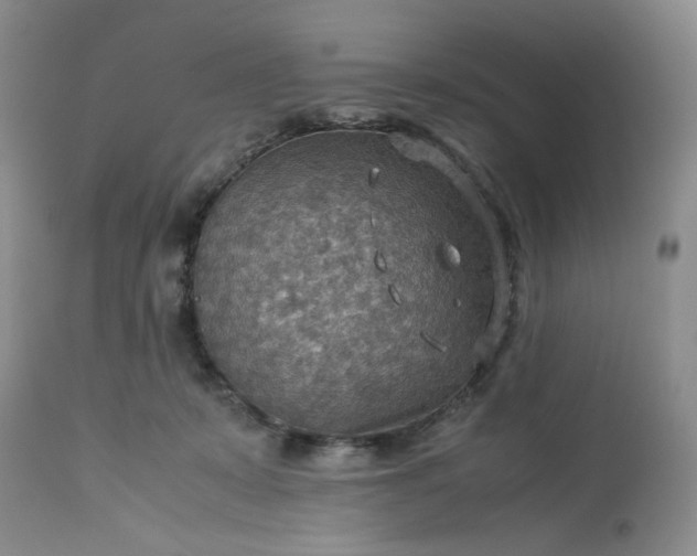 X0000113590319200910021723