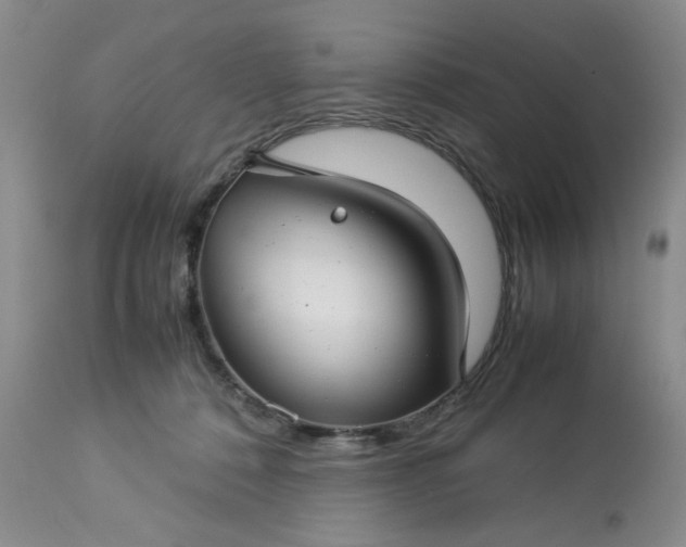 X0000113590320200910021723