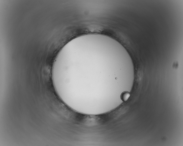 X0000113590321200910021723