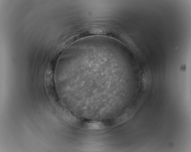 X0000113590322200910021723