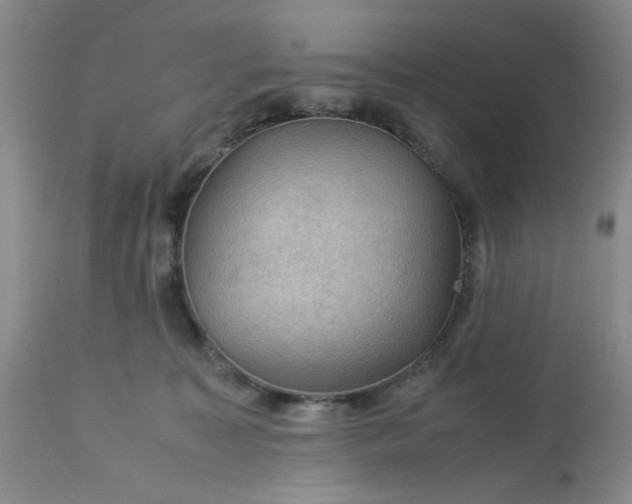 X0000113590323200910021723