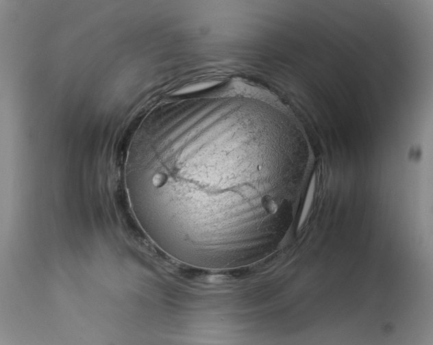 X0000113590324200910021723