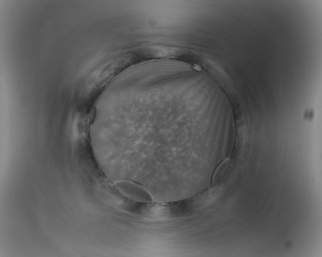 X0000113590325200910021723