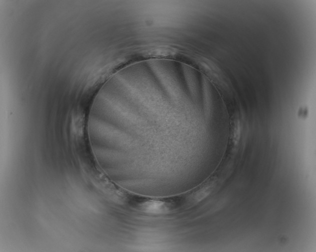 X0000113590326200910021723