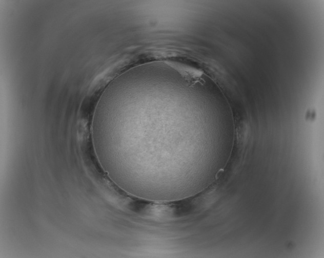 X0000113590327200910021723