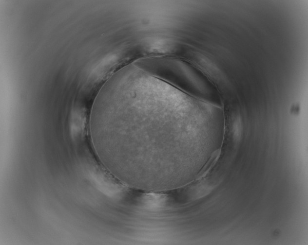 X0000113590328200910021723