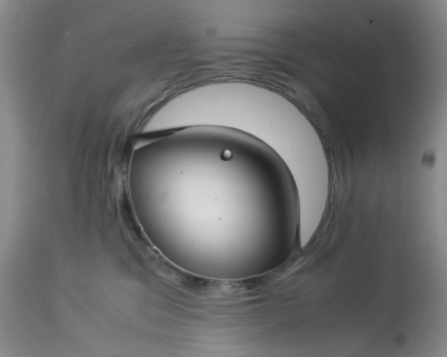 X0000113590329200910021723