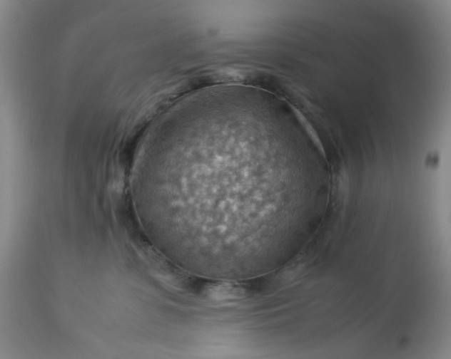 X0000113590331200910021723