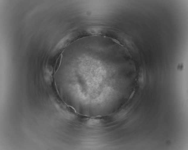 X0000113590332200910021723