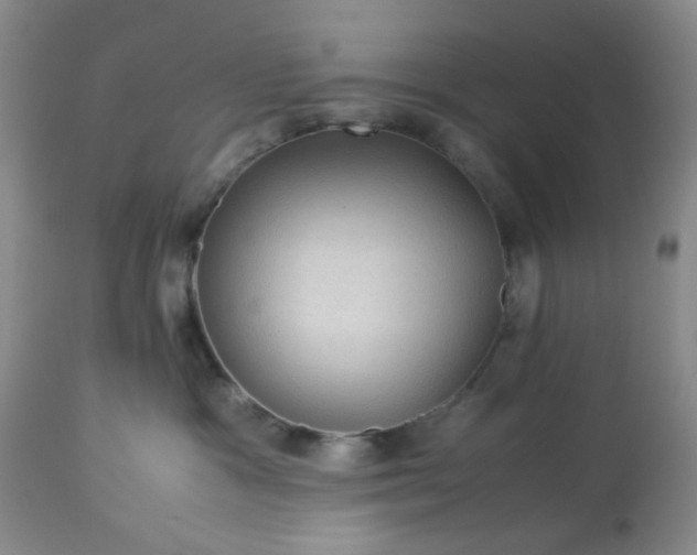 X0000113590333200910021723