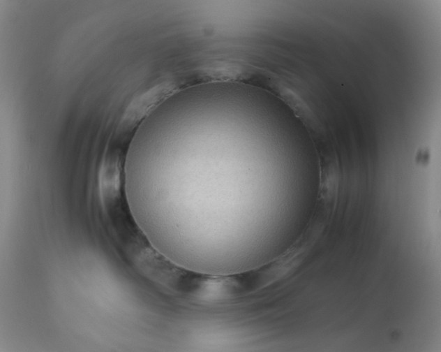 X0000113590334200910021723