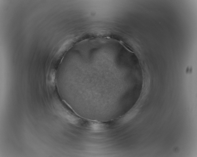 X0000113590336200910021723