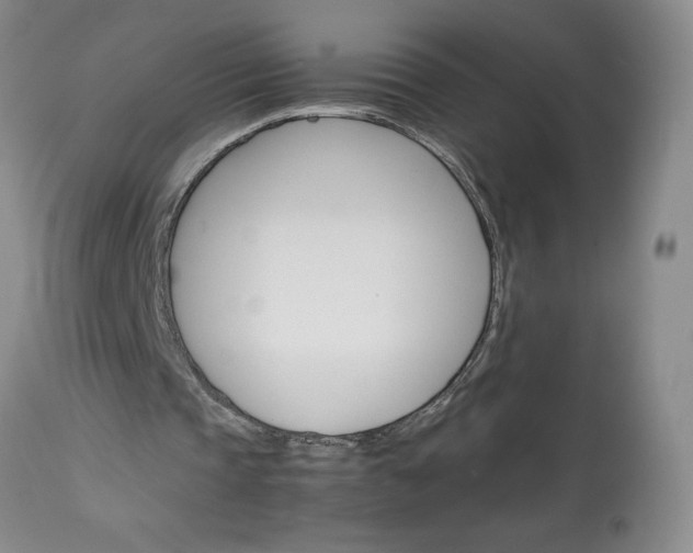 X0000113590337200910021722