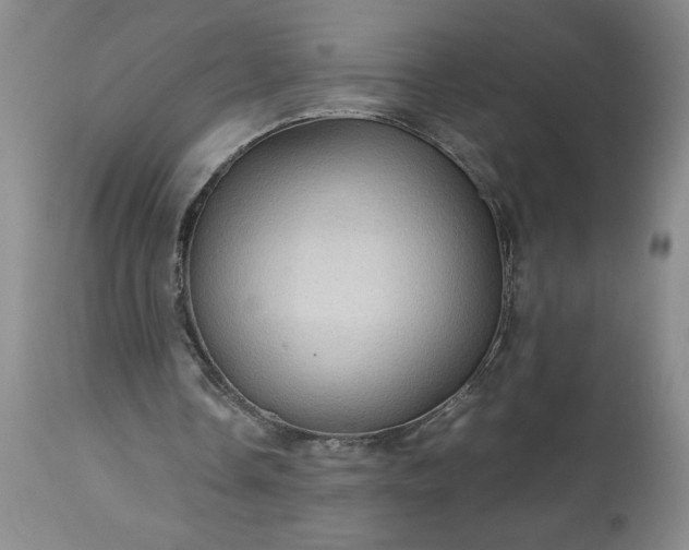 X0000113590338200910021722