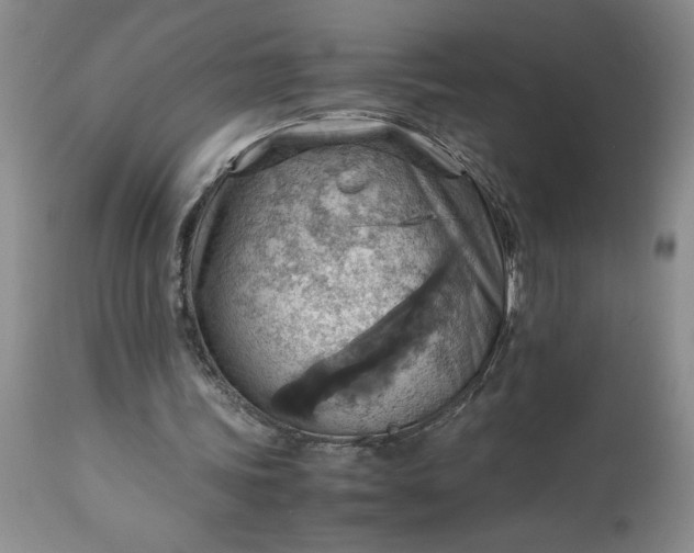 X0000113590339200910021722