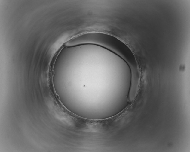 X0000113590340200910021722