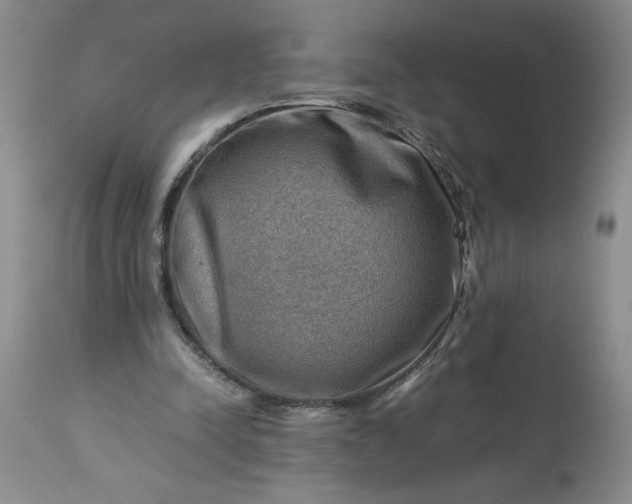 X0000113590342200910021722