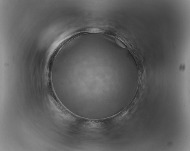 X0000113590343200910021722