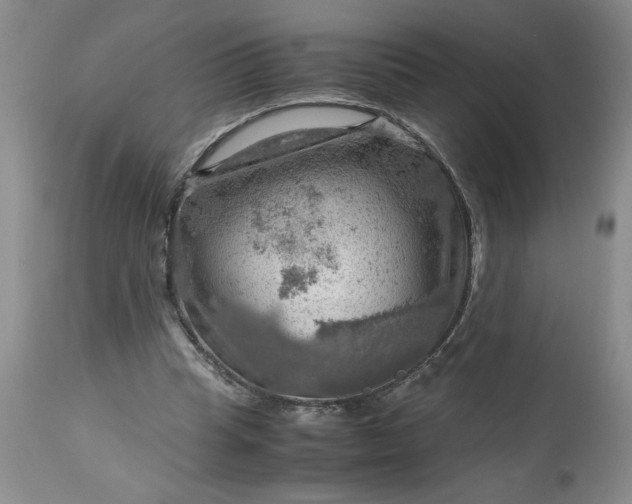 X0000113590345200910021722