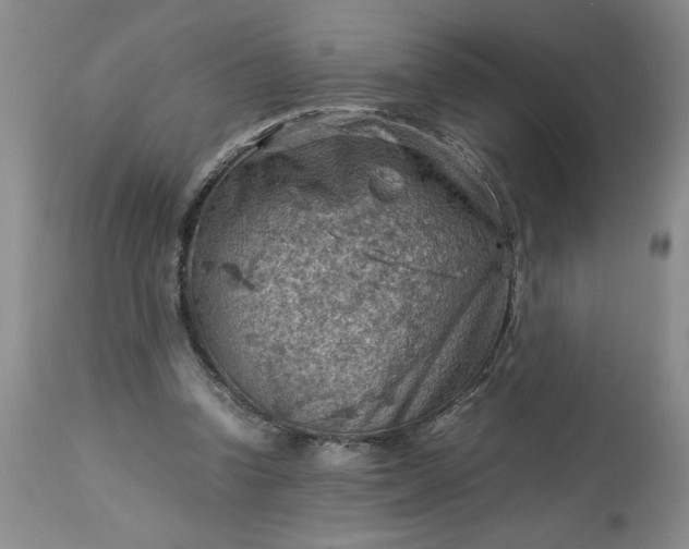 X0000113590346200910021722