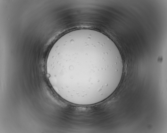 X0000113590347200910021722