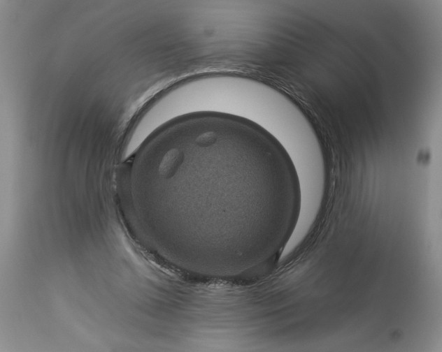 X0000113590348200910021722