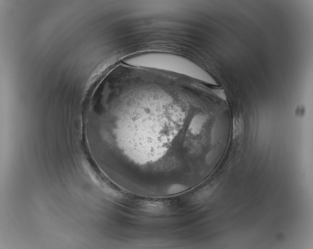 X0000113590349200910021723