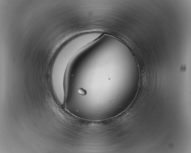 X0000113590350200910021723